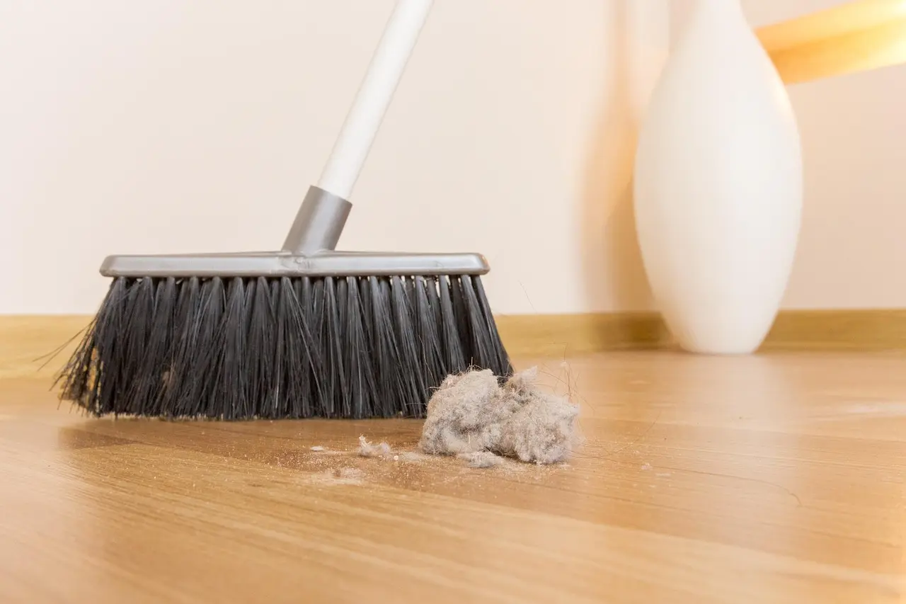 Professional home cleaning service in Dubai